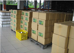 Australian Aloe Boxed For Export